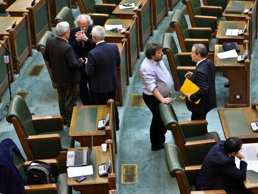 Legea pentru înființarea Institutului Levantului merge mai departe: senatorii au votat "pentru".  Foto: Lucian Muntean