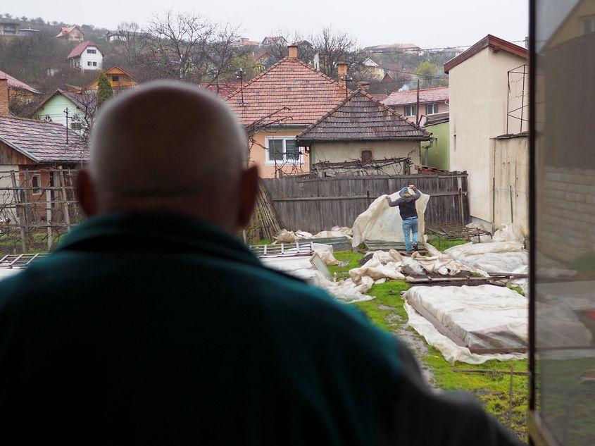 Din ușa bucătăriei, Péter bácsi dă indicații fiului său ocupat cu protejarea primelor răsaduri.
