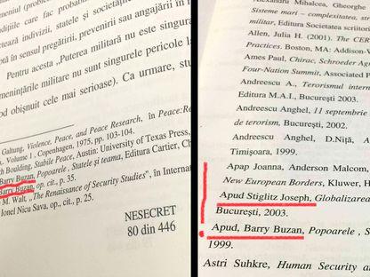 Ministrul Tobă a plagiat „munți de texte”