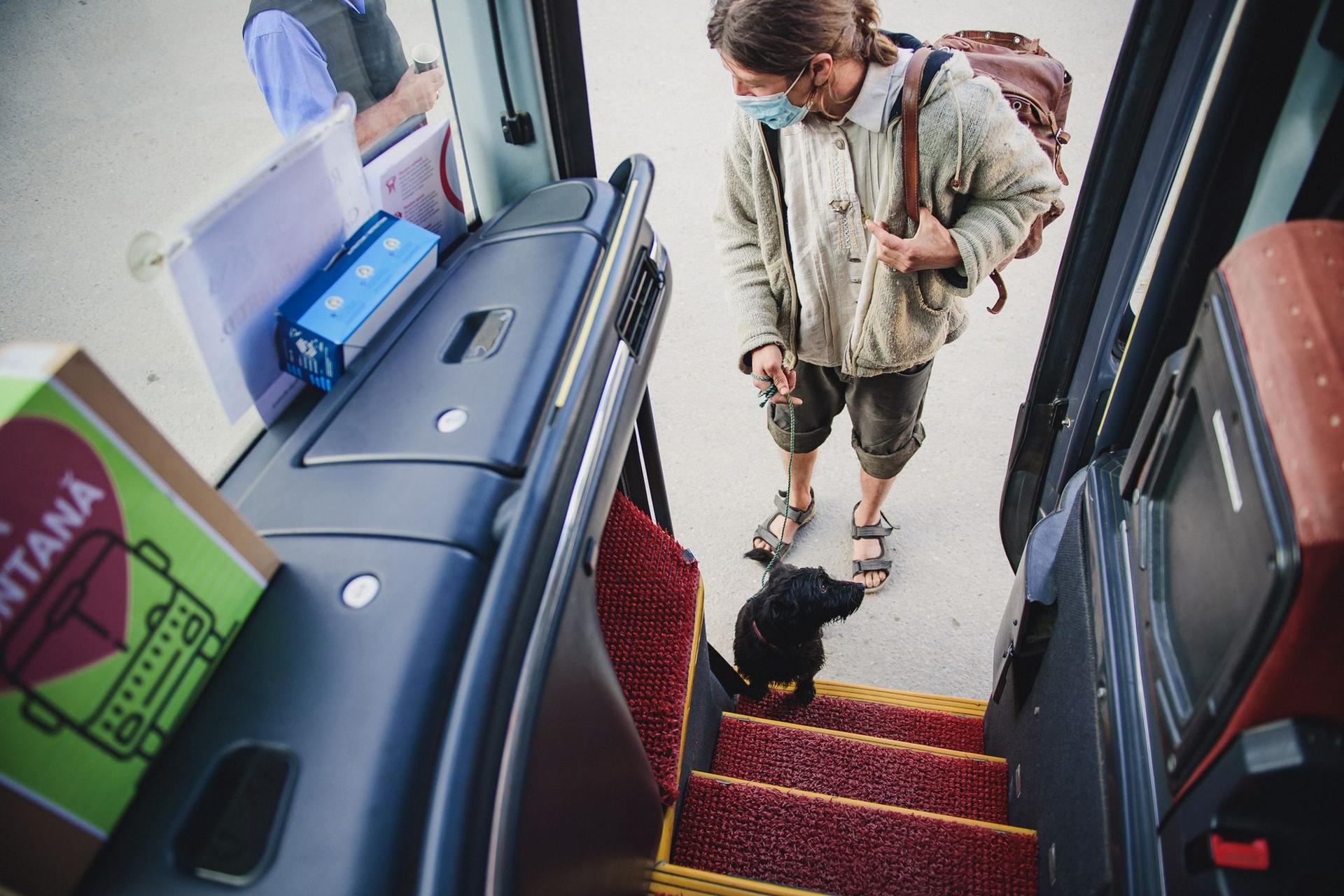 În autobuzul lui Tică Darie, sunt primiți și cățeii