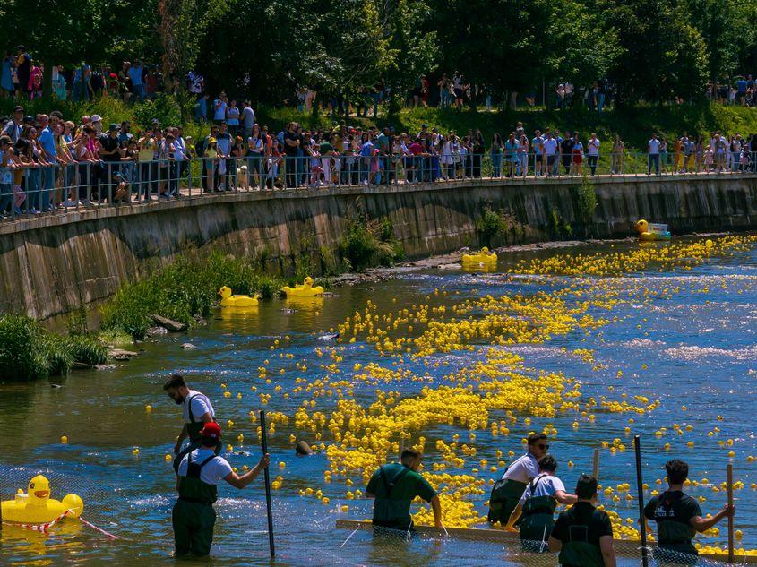 Foto: Facebook /  Cursa de Rățuște Cluj-Napoca