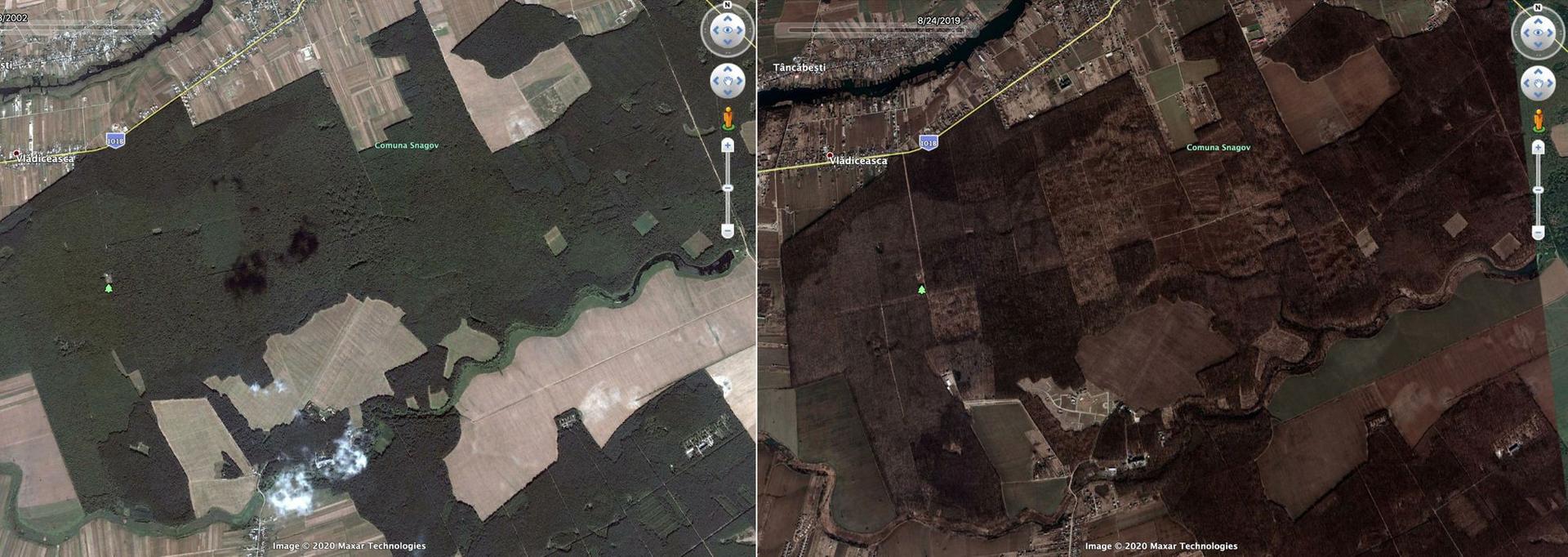 Codrii Vlăsiei, vedere din satelit: 2002 vs. 2019