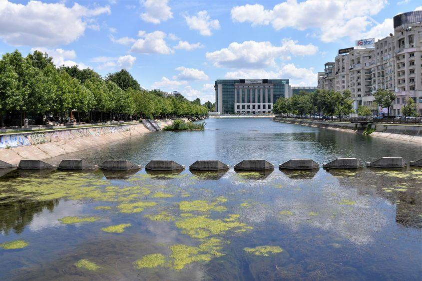 „Dâmbovița e doar un canal.” foto: Lucian Muntean