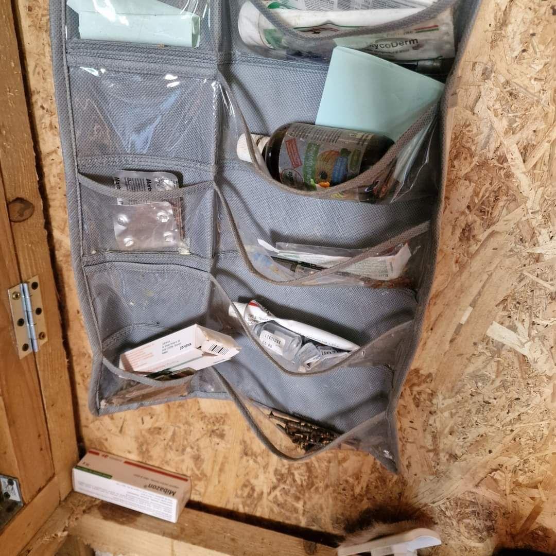 <em>Fotografii realizate de Mihaela în adăpostul „Căsuța Pisicească”</em>