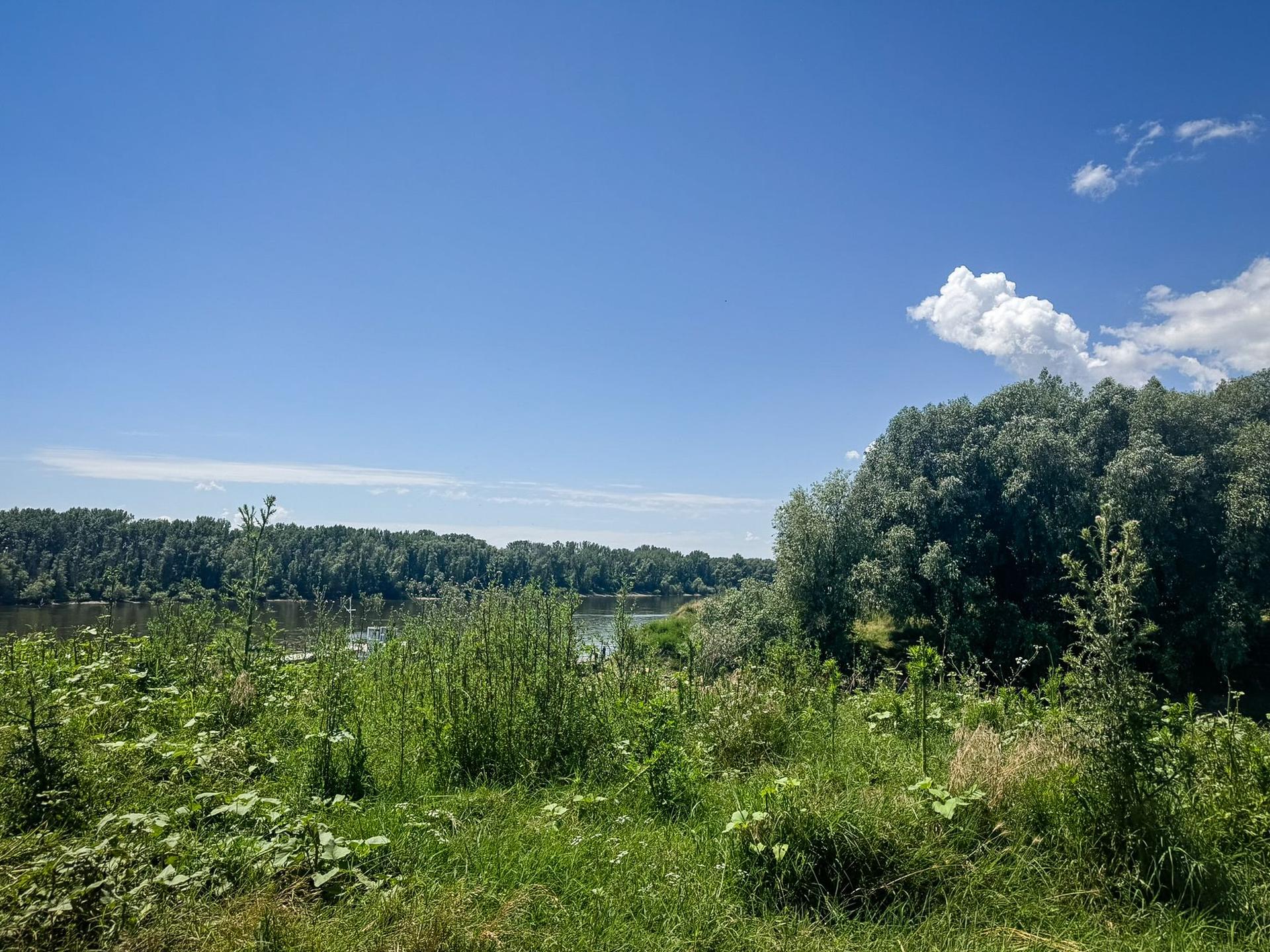 Plajele de la Dunăre: Gostinu, Giurgiu. Foto: Ana Tepșanu