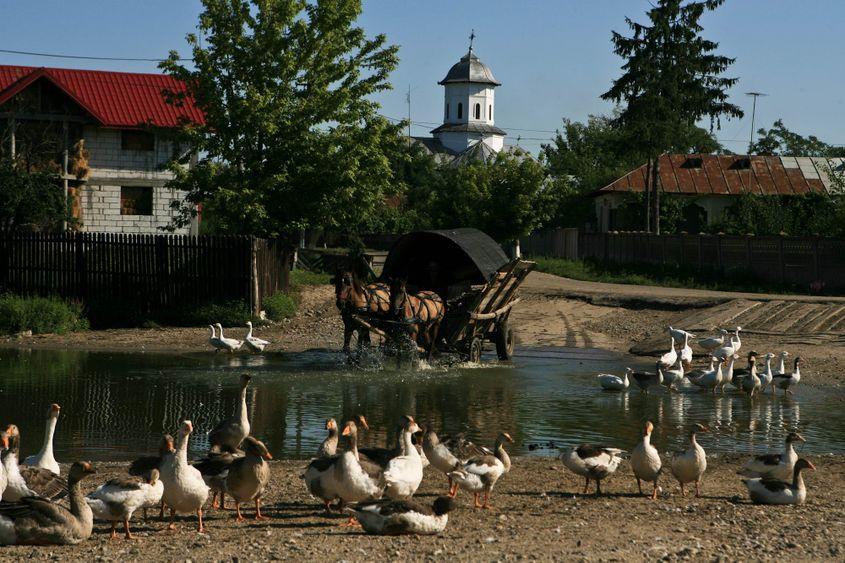 Siliștea Gumeşti, județul Teleorman. Foto: Lucian Muntean.