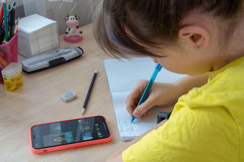 Lecțiile de matematică sunt ușor de predat online. Alte materii, mai puțin. Foto: Luiza Nalimova | Dreamstime.com
