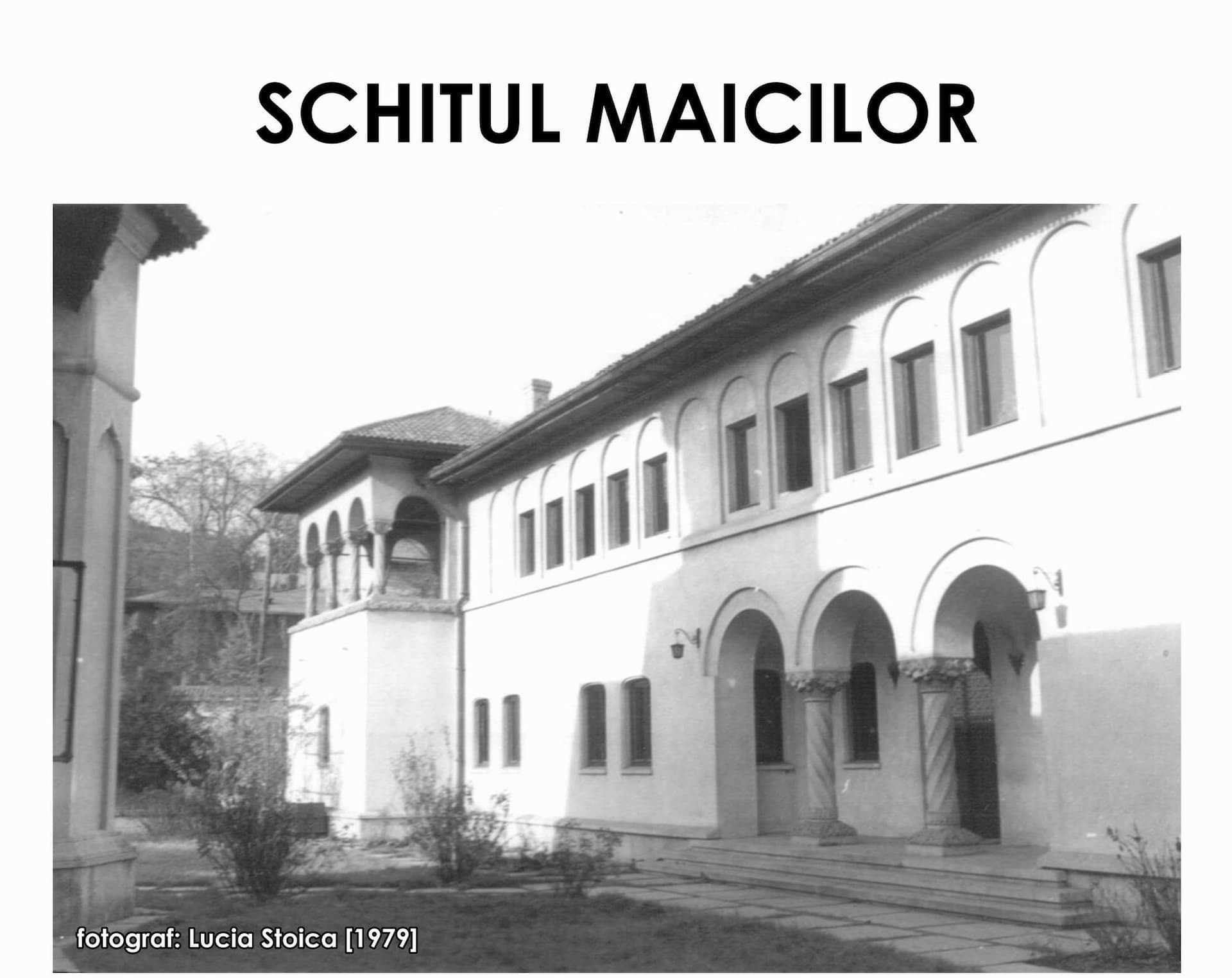 Sursă: arhivă proiect