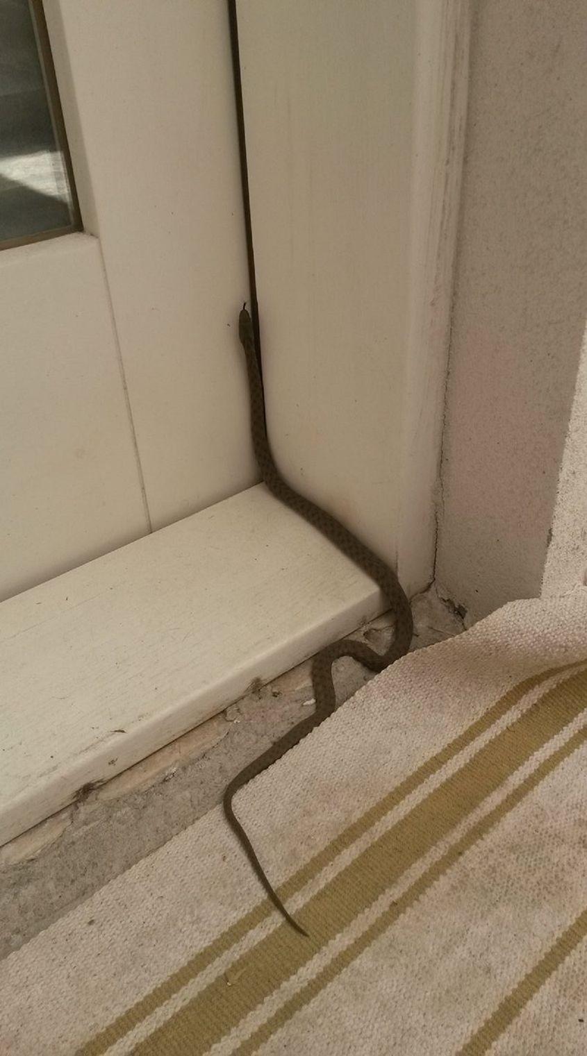 Așa arată fotografia publicată pe Facebook de Cristina Călinoiu.