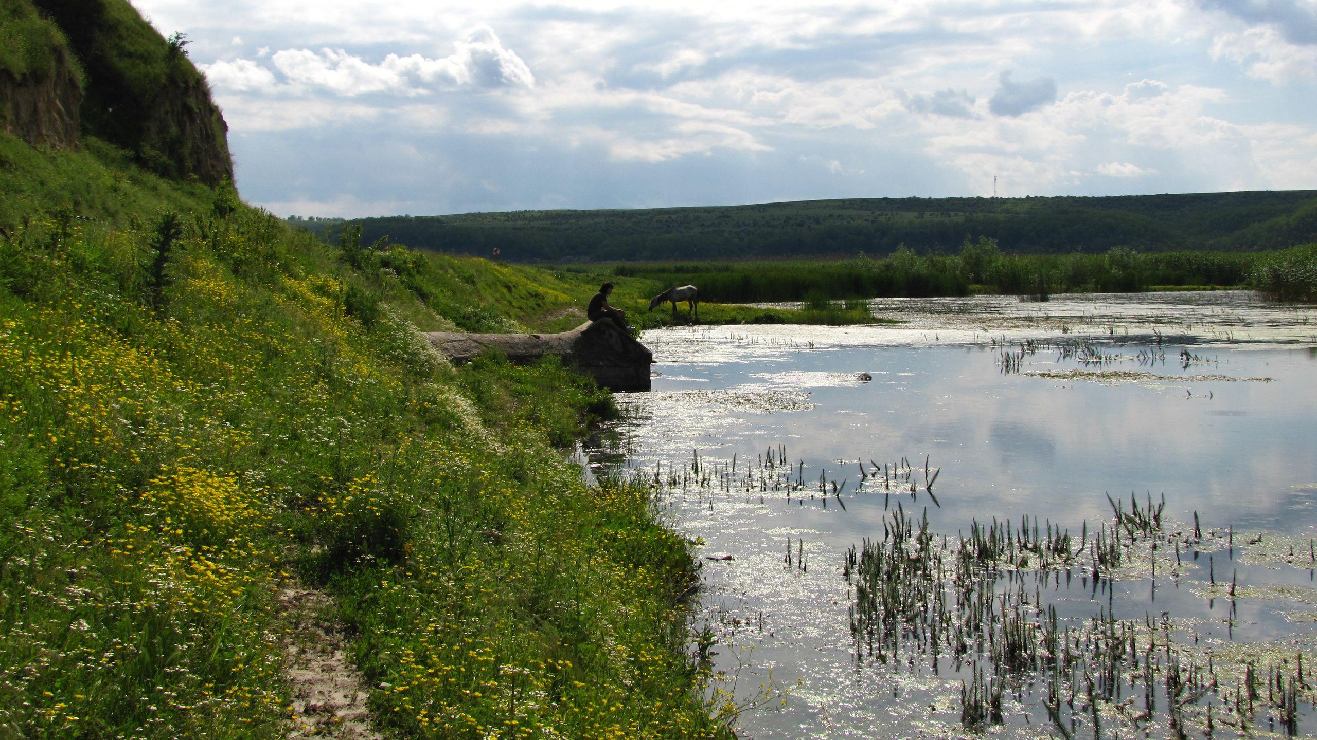În zona Rasova - Ion Corvin abundă peisajele deltaice. Lacul Vederoasa e un foarte bun loc de picnic singuratic.