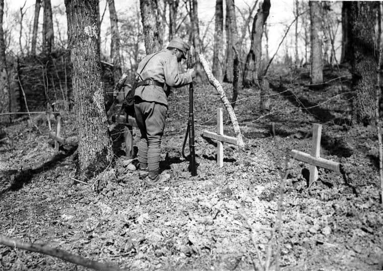 Sursa foto: Asociația Pleniceanu