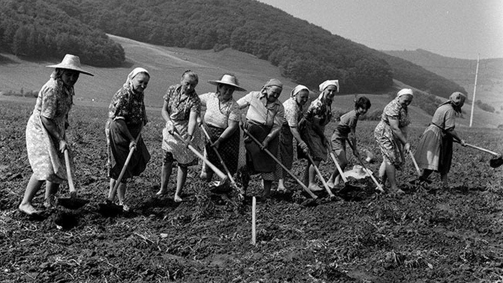 Toate fotografiile din acest articol: <a target="_blank" href="https://www.photoarchive.minerva.org.ro/Ro" target="_blank" rel="noreferrer noopener">Arhiva Minerva</a>