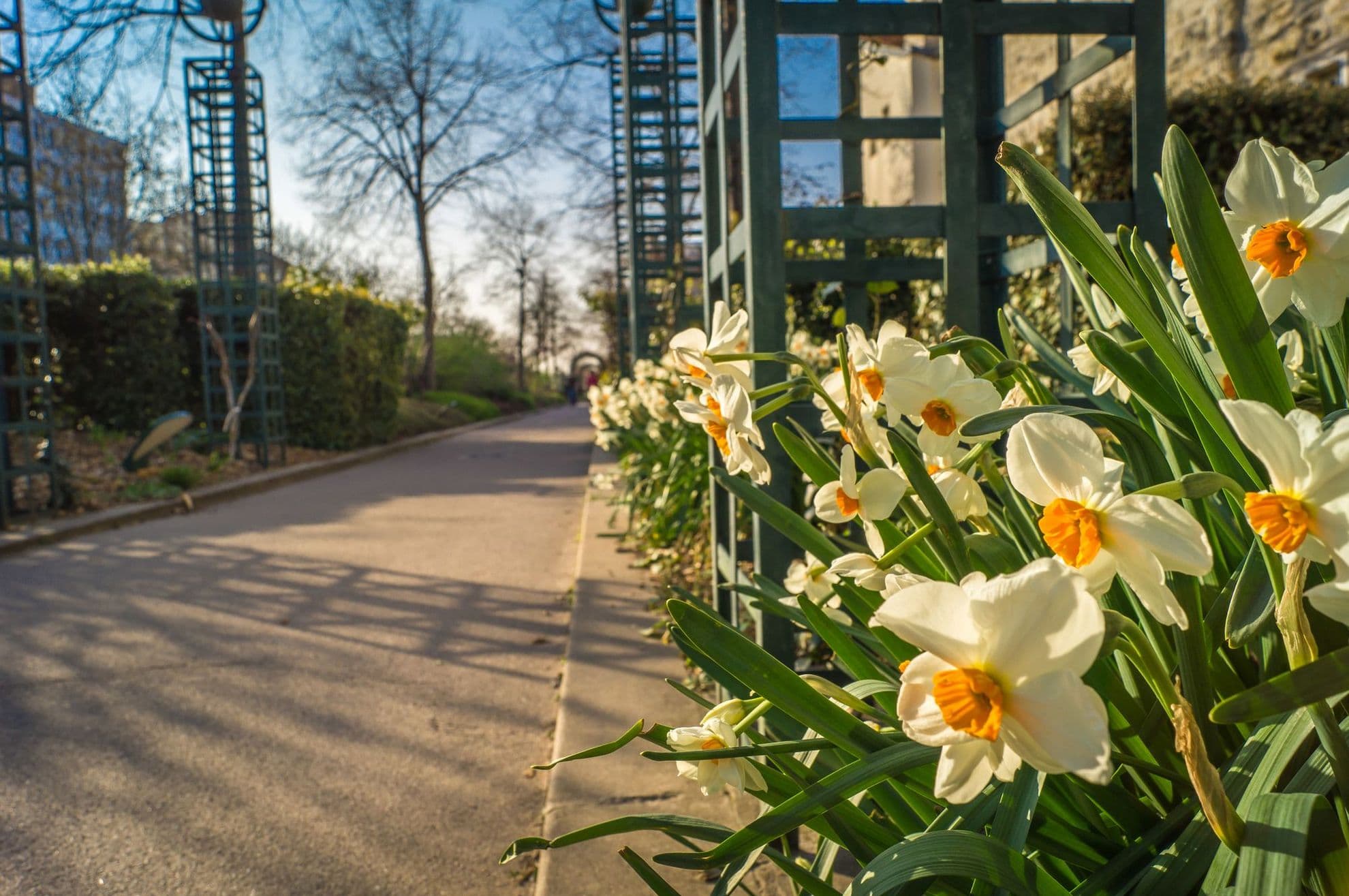Coulee verte, numită și Promenade plantee, Paris. Foto: Stephane Debove, Dreamstime.com