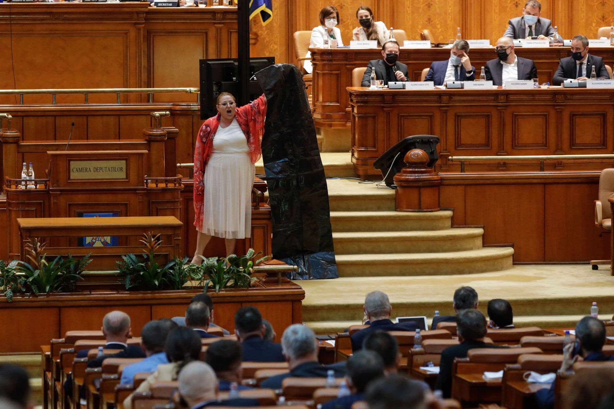 Diana Șoșoacă. Foto: George Călin / Inquam Photos
