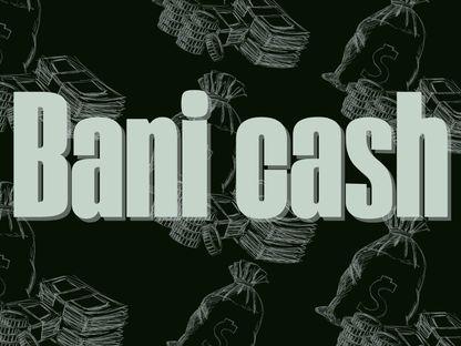 Politicienii și banii cash. Un singur candidat la europarlamentare susține că are bani în numerar