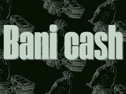 Politicienii și banii cash. Un singur candidat la europarlamentare susține că are bani în numerar