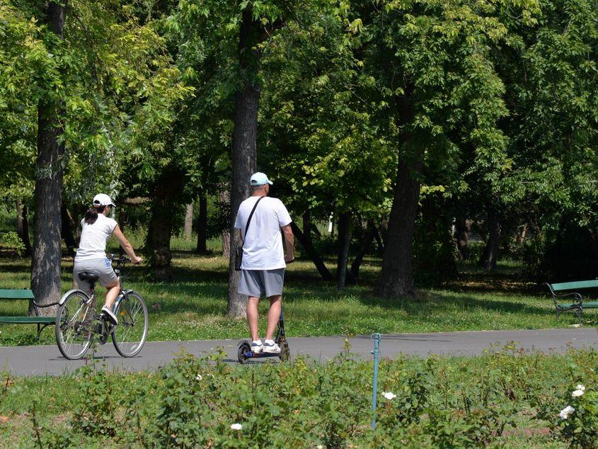 Fotografie din Parcul Tineretului. Atmosfera liniștită contrastează cu provocările administrative recente legate de securitatea spațiilor verzi. Foto: Lucian Muntean