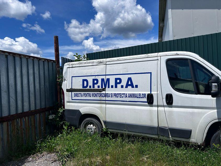 În 2025, la DMPA Codlea, se omorau în medie 6 câini pe zi, iar 19 primării din județ finanțau din bani publici activitatea adăpostului. În 2026 numărul câinilor fără stăpân din județ a scăzut, dar primăriile continuă să aloce fonduri pentru adăpost, neștiind ce se întâmplă, efectiv, cu animalele ridicate de pe raza localităților lor. Foto: PressOne/Alina Zibrițchi