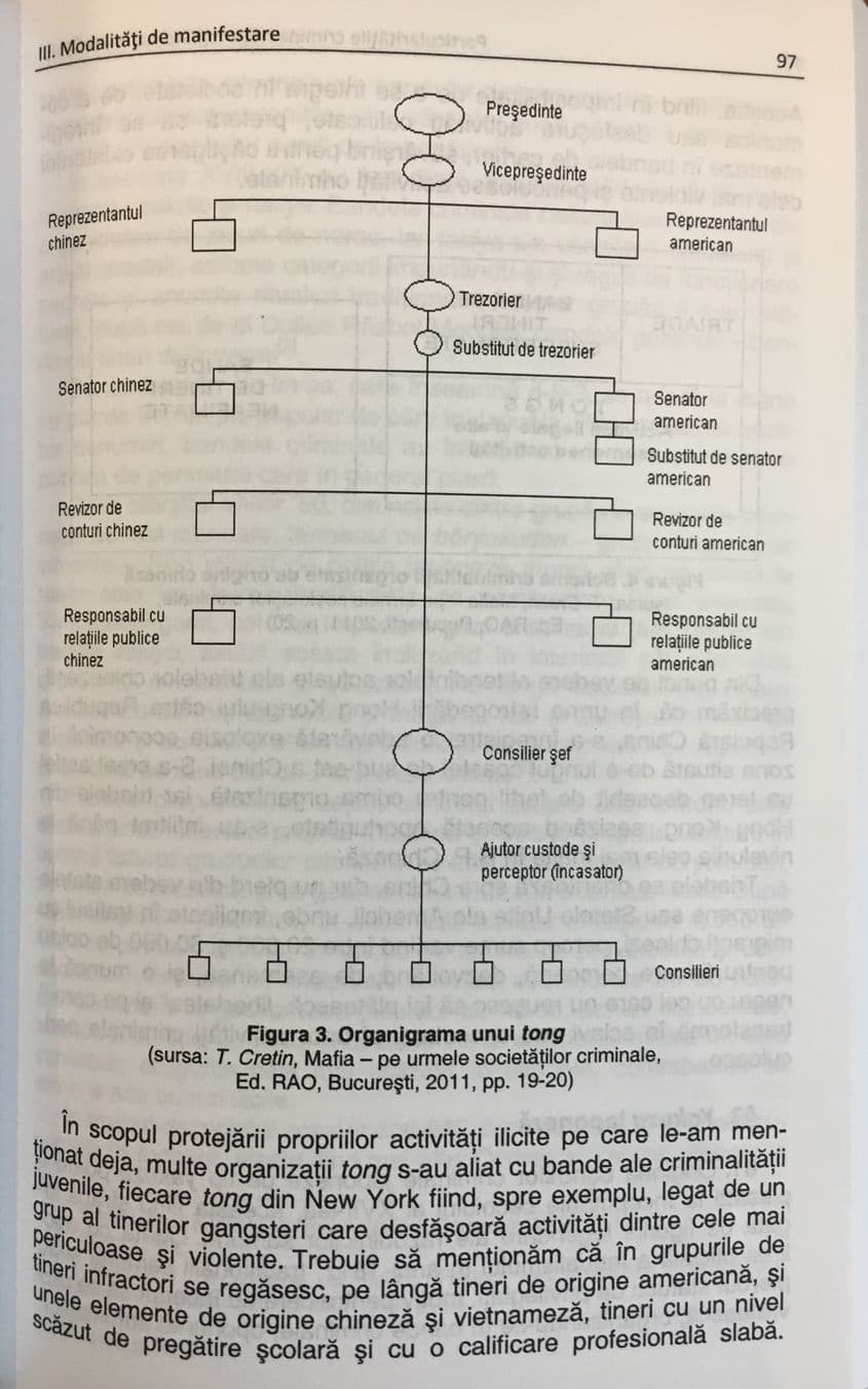 PLAGIAT. Pagina 97 din cartea „Particularitățile criminalității organizate în România”, semnată de Codruț Olaru.