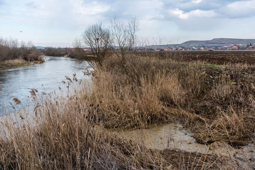 Confluența pârâului Zăpodie cu Someșul Mic. În prim-plan, apa toxică de culoare mare care se scurge de la Pata Rât se varsă în cel mai mare flux de apă din zonă. Foto: Raul Ștef