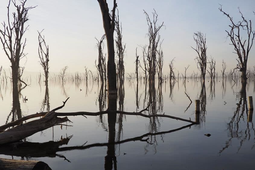 Lacul de la Nakuru, Kenya.